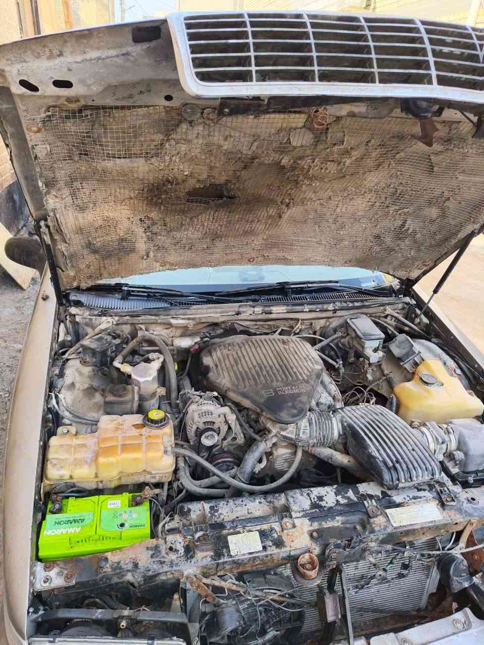 السلام عليكم 
دولفين مجول مكفول من محرك وكير حاوية بدي شوف العين رقم انكليزي كربلاء باسمي انا شخصيا كهربائيات مري جانبية كشنات الصدر كلهن شغالات تاير تخم شغل واطلع وين ماتريد تحويل ثاني يوم 
السعر 45  ورقة 
التواصل ع الواتساب  ***********
عذرا ما ارد ع التعليقات يمك رقم وبخدمتك
مكاني البصرة ابي الخصيب مهيجران
