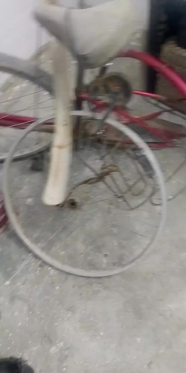 سلام عليكم قراض موطورات شحن اشكال والوان مختلفه كله والله جوه لسوك مكاني فلوجة حي  رساله مراسله خاص وتدلل تعاليق ما ارد


**إذا كنت صاحب هذا الإعلان وتريد حذفه لأي سبب، رجاءا أرسل رسالة إلى الدعم الفني**