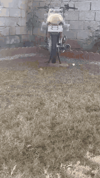 تايكر 25 • زيرو • قرب جزيره بغداد