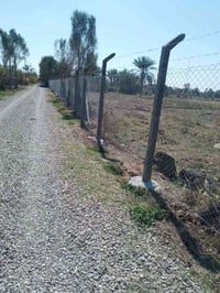 سيم البيارسي • داخل المقدادية • خدمة