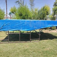 جنج • امخضر