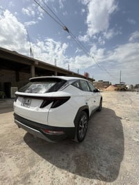 توسان ٢٠٢٤ • كفاله عامه • بابل