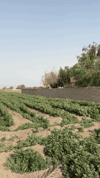 السلام عليكم 2 دونم للبيع على شارعين كل الخدمات متوفره البيع حسب الطلب 
***********
