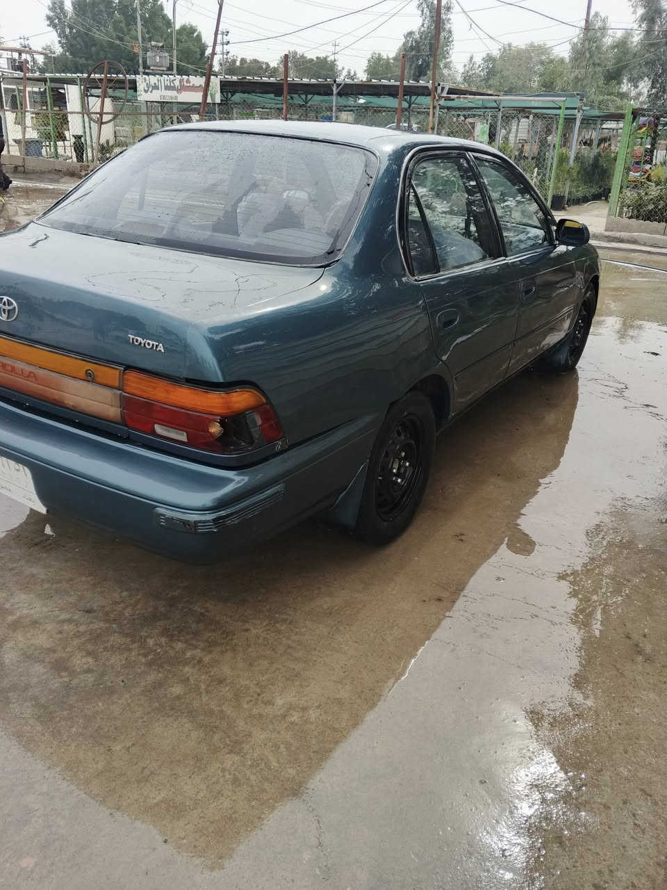 سلام عليكم ورحمه الله وبركاته اخواني الكرام بدون وعود كاذبه رجاء رجاء كورلا موديل 94 رقم بغداد تحويل ثاني يوم مشروع وطني محرك وكير كفاله عام صبق حزام تبريد شقال سياره كلش حلوه وبل خير نشاء الله علي الي اخذها محرك الف 800 مكان واسط الكوت الحرار سعر 53 وبيها مجال باقي تفاصيل الاتصال ***********
