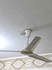 بنكات • شغالات • داموك