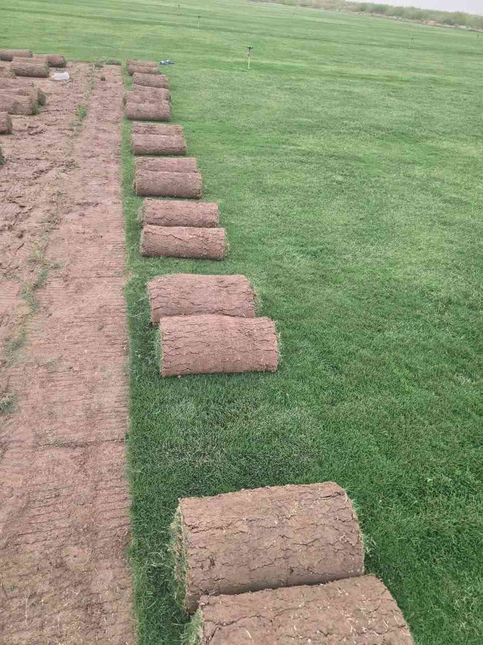 ثيل طبيعي سعر المتر 2000دينار التوصيل مجاني بغداد, العراق


**إذا كنت صاحب هذا الإعلان وتريد حذفه لأي سبب، رجاءا أرسل رسالة إلى الدعم الفني**