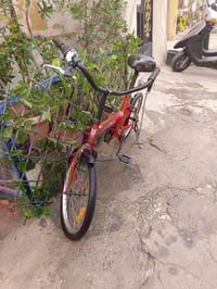 بسكل • نضيف • ساحة عدن