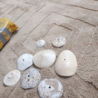 حجر العطف • عظم بحري • جلب الحب