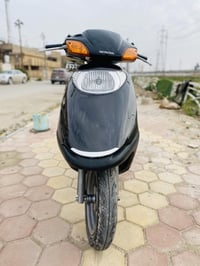 سبيسي ياباني • مكفولة • كوت خاجية