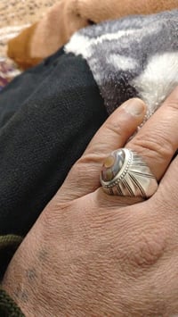 هندي جوكر • صور واضحة • سليماني