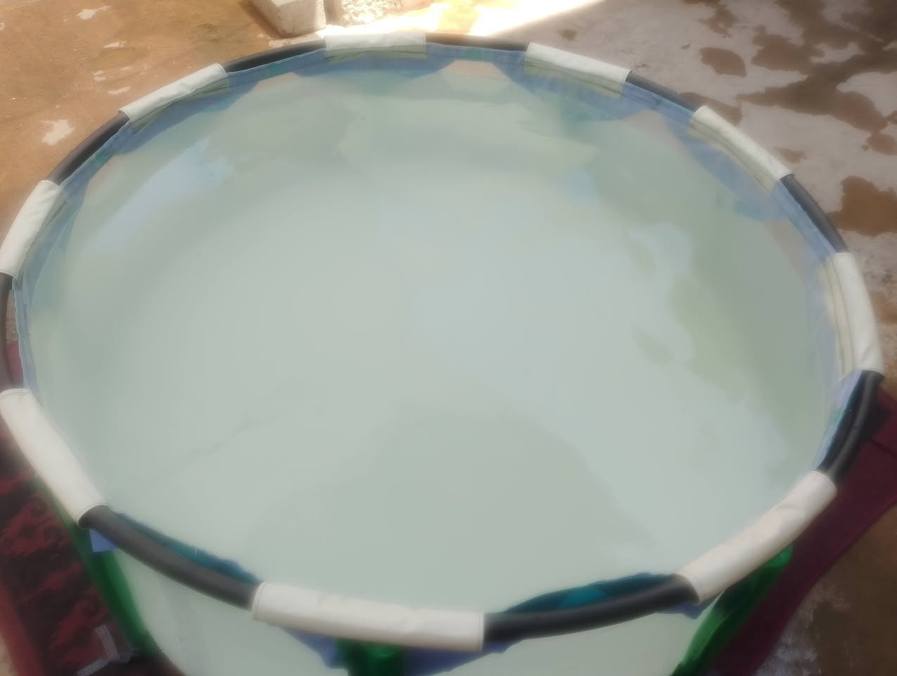 السلام عليكم مسبح للبيع العرض متر ونص الأرتفاع 60 شرط اصلي ادفع سعر عجبني ابيعلك


**إذا كنت صاحب هذا الإعلان وتريد حذفه لأي سبب، رجاءا أرسل رسالة إلى الدعم الفني**