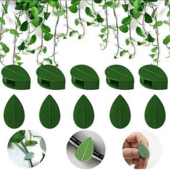 ❤️لكثرة الطلبات 🌹
🪴يتوفر لدينا جميع اكسسوارات نباتات وسنادين بلاستك نوعيه ممتازه 🦊🪴 🐼 
🚕توصيل كل محافظات العراق 🚕 
🪴الزرع لعرض فقط 🪴 
يتوفر جمله ومفرد 🐼 🦊 
حجز على خاص ☎️
📞***********📞

🐼تتوفر لدينا جميع اكسسوارات نباتات 🐼
🪴و سنادين مختلف الأشكال والأحجام والألوان 🕊️🐝🐞🐦🕊️🦋🐦🐞🌿🍄🕊️🐞🦋🐦🍄🌿
متوفر دعسوقات 🐞 🐞🐞🐞
ونحلات لاصقه 🐝🐝🐝🐝🐝
وفراشات 🦋🦋🦋🦋🦋🦋
فطر زينه 🍄🍄🍄🍄🪴💕
1-🐼باندا او سنجاب 🐼 
 2- فطر جيس الف🍄
3-🐞دعسوقه صغير حمراء ٤٠ قطعه با الف🐞
4-🐞وسط ٢٠ وسط جيس الف 🐞
5-🐞دعسوقة خشن ١٠ قطع با الف 🐞
6-🐞دعسوقة ملون ١٠ قطع الف🐞
7-👍كف ١٠ قطع الف 👍
8-🐦عصفور ٥٠٠ القطعه 🐦
9-🪴غصن مترين رفيع  الواحد الف 🪴
10-🎊نشر ضوئيه مترين الف 🎉🎊
11-🌹🐝نحله صفراء ٤٠ قطعه با الف🌹🐝
12-🌹🍄نحله وسط ١٥ قطع الف🐝🐝
13-🌹🦋🦋🌹فراشه عاديه لصق وجهين و مغناطيس ١٠ قطع با الف🦋
14-❤️جيس ١٠ قطع  ماسك لبلاب كف 
١٠ قطع الف👍
15-🍄١٠ قطع فطر اكبر شويه الف 🍄
16-🕊️حمام وسط الف🕊️
17-🕊️حمام كبير الفين 🐝🕊️
18-🪴ماسك لبلاب الف 🌿
🦋
19- فراشات سيم صغيره  ٤ سم 4 با الف🦋
🦋٧ سم ٣ با الف🦋
🦋٨ سم و ٩ سم  ٢ با الف🦋
20-فطر ملون صغير 10 با الف🍄
21-دعسوقة ام عوده ملون جيس 10 قطع الف
22-فطر احمر كبير او صغير جيس الف🍄
23-فطر ملون  صغير او كبير جيس الف 🍄
24- دعسوقة كبير جدا الوحده الف 🐞
25-حجر مضيئه جيس الف 🟣🔵🎊🎉
26- حجر ملون فقط جيس الف 🔵🟣🎊
27- غصن احمر او ذهبي القطعه الف ❤️
🪴الزرع لعرض فقط🪴 
#توصيل كل #محافظات_العراق
#بغداد #ناصريه #نباتات #ديوانيه #زرعاتي #سنادين_ورد #ديكورات #نباتات_منزلية_داخلية #نواعم #بابل #البصره #ديالي #واسط #المثني #ديكورات_خشب
#سناد #سناد_زرع #نباتاتي
