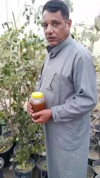 النجف الاشرف • ناحية الحرية • خلف مركز الشرطة