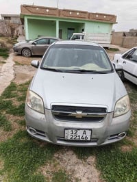 افيو ٢٠٠٩ • بدون صبغ • نينوى