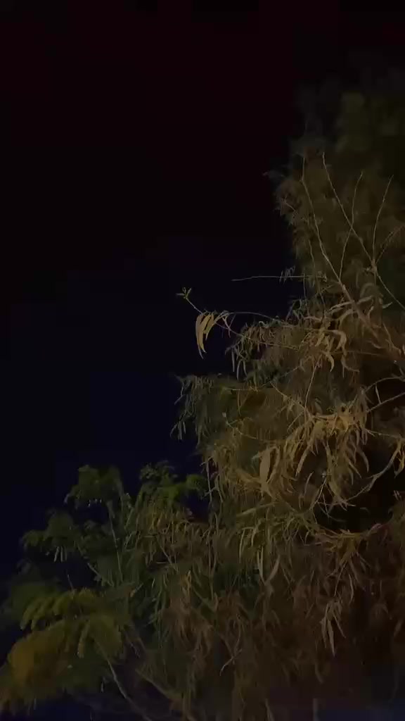 سلام عليكم ماكس منغولي 49 بلادي برغي مامفتوح بيه سعر 450 مو شراي اطلع كبل اني مكلف ب نشر  رقم راعي الدراجه للتواصل ويا ***********
