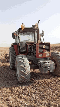 السلام عليكم 
فيات 140 فول عادي مديل 1996 سنويه وارقام واسط اكسل بارز تكمه عريضه كير بل دشبول مكينه لاتنقيص لاتبخير استندر جاهزه بوجه الشغل  وياه دسك 24حدادي وفدان 14سلوم رباعي. مصبوغه جماليه فقط 
 ***********
