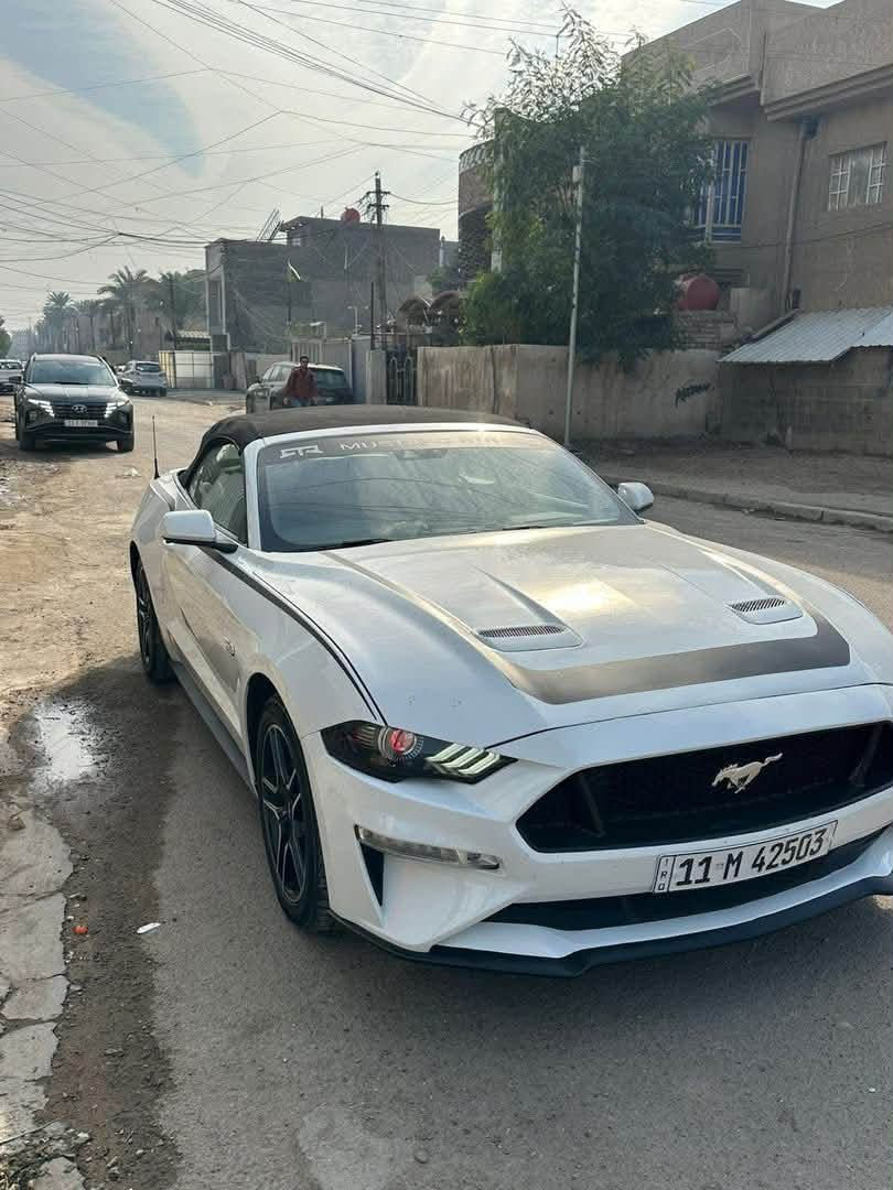السلام عليكم للبيع موستنك 2022GTفول موصفات عده الدجتل حادثه البنيد ونصه مصبوغ وجاملغ خلفي كلير امريكا بدون ضرر سياره ستوك بدون لا برمجه ولا داخله ساحه بدون اي نقص وبسمي سعره 195 وبيه مجال لشراي ***********

