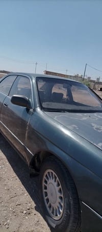 باسمي • مكفولة • تحتاج تبريد