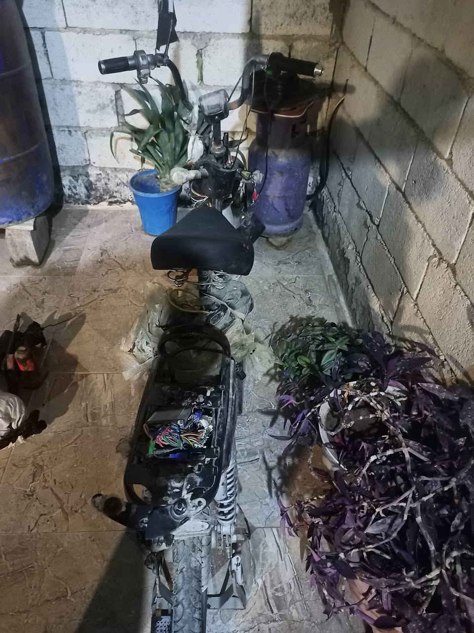 السلام عليكم  باسكل شحن  تفصيخ رخيص  الرقم ***********  المكان ديالى بعقوبة  رخيص و الله❤️❤️🥰🥰
