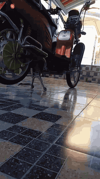 متاح بايسكل جديد 
البطاريات جدد عل الفحص
السع. ر 500.000
اذ مراوس ماطور شحن جديد نتوالم عل الفرق 
رمادي الصوفية  ***********
