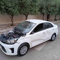 بيكاس • ٢٠٢٠ • حادث شغالة