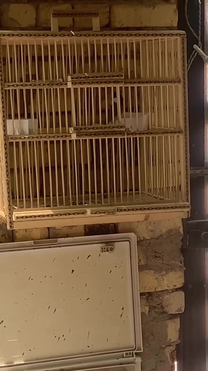 السلام عليكم بلبل للبيع تغريد فول السعر خاص


**إذا كنت صاحب هذا الإعلان وتريد حذفه لأي سبب، رجاءا أرسل رسالة إلى الدعم الفني**
