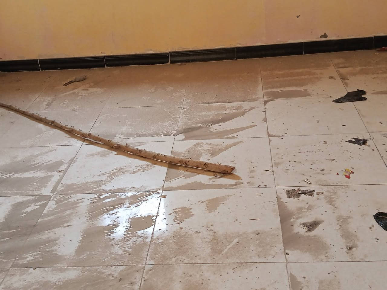 بيت طابو زراعي للبيع 

في ابو خصيب طريق الصحراء 

المساحة 150 متر 

يحتوي البيت على غرفتين ودوانية وصاله ومطبخ وحمام 

البيت كونكريت 

السعر 46 مليون

لاستفسار تتواصل على رقم 
***********
