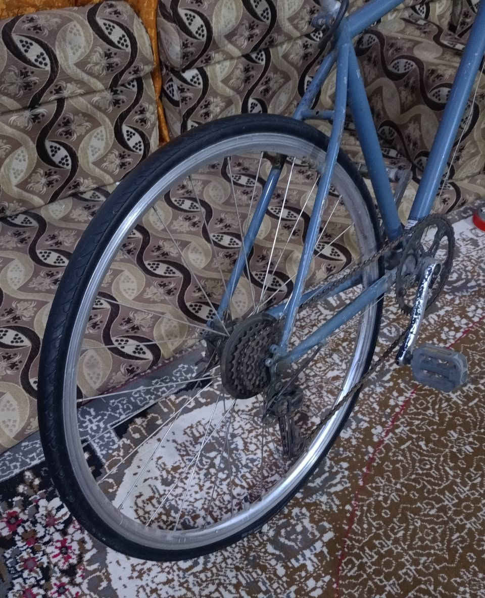 بايسكل: حجم 27 مابي شي غير التاير الامامي ( عوزة فقط چوب)  المكان:  الناصرية المركز / حي اريدو _ السعر ٤٠ وبي مجال؟  
الرقم:  *********** #
