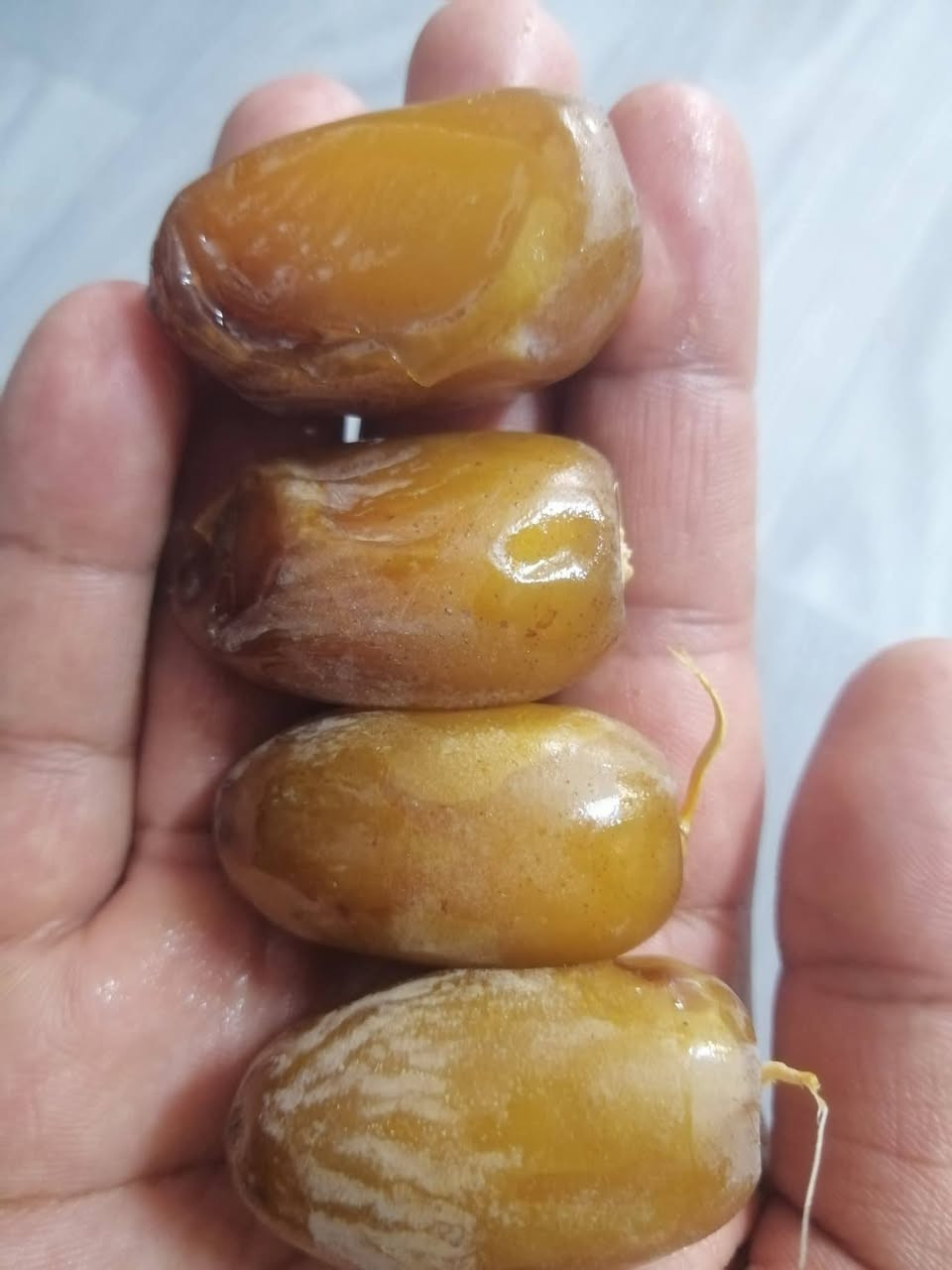 متوفر فسائل نيرسي حر حجم الثمر كبير
امهاتهن حمالات كلهن تجي للبيت تشلع بيدك
العنوان بابل الكفل سعر الفسيله 10 مفرد واذا جمله كلهن بيهن مجال
***********
