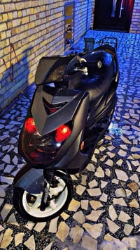 سكنس فحل ياباني. سعر 600 الف.  07775640875