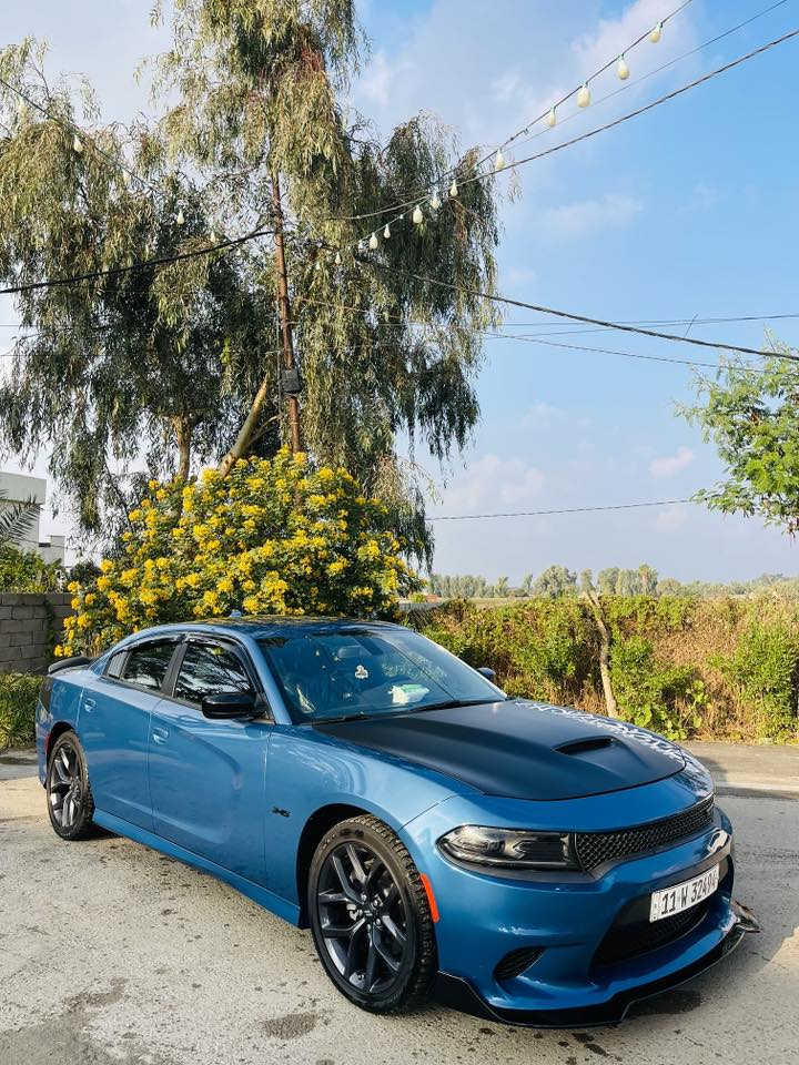 جارجر 2023اخر صدار ربع البنيد فقط وبعده ما مصبوغ بدون إرباك حته الدعاميه نفسهه مصلحه رقم بغداد RTمكينه 5700 ماشيه 18 جديده السياره بسمي مكاني بغداد الدوره هورجب الشراي  يتصل السعر 310وبيهه مجال ***********
