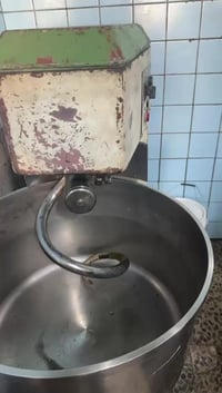 عجانة نمساوي • الشعلة ام نجم