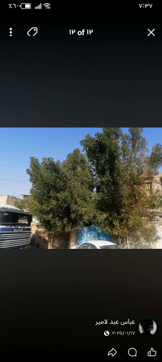 بيت البيع بل نهروان شارع شمري يم سواق البركه بيت مساحته 200 قاطين بيت طابو صرف السفسار ***********
