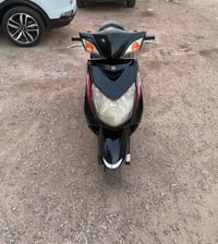 سكنس فحل • ياباني • نوزل
