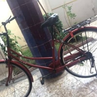 بايسكل • بطه • مكان الامين