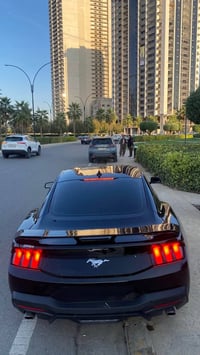 موستانج • فول مواصفات • أربيل