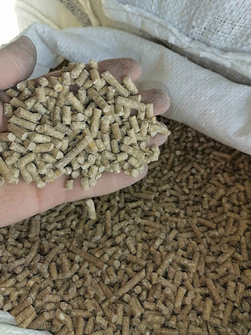 تم بحمد الله وصول وجبه جديد من العلف أبقار علف أغنام أربيل فيد كسح بصل احمر سوري شاروجي اسعار مناسبه جدآ جدآ جدآ جمله و مفرد العنوان القياره قريه الجدعه الشارع العام مقابل مجمع ابو عطيه رقم الهاتف *********** علي
