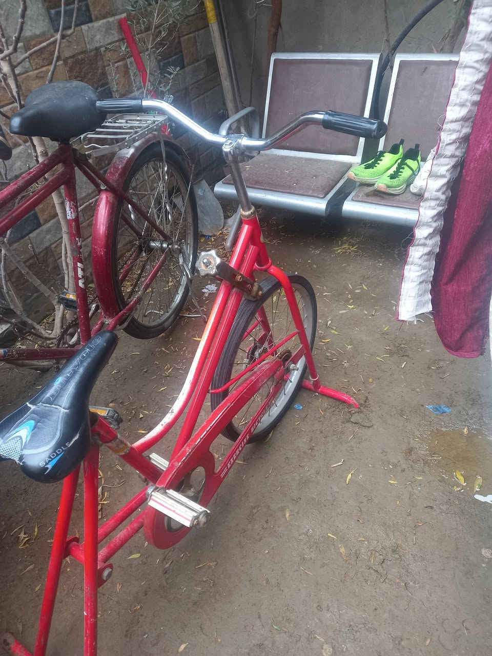 اجهزه رياضيه بيسكل رياضي الماني..
غزال طائرة رياضي أوربي 
سعر الواحد ٩٠ الف العنوان بغداد 
0775415458


**إذا كنت صاحب هذا الإعلان وتريد حذفه لأي سبب، رجاءا أرسل رسالة إلى الدعم الفني**