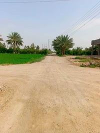 ابو سديره الثانيه • ٥ دونم • سند زراعي