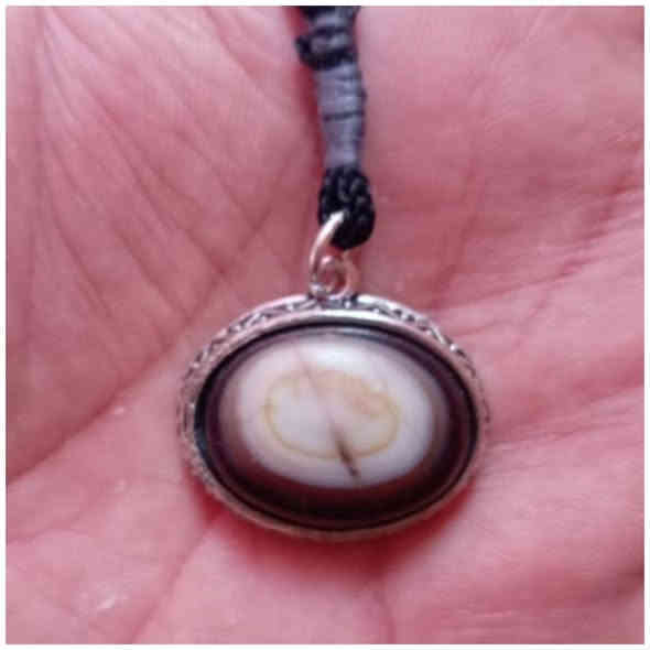 عطف سليماني احمر مصور السعر على الخاص العنوان ناصرية رقم الهاتف*********** ناصرية
