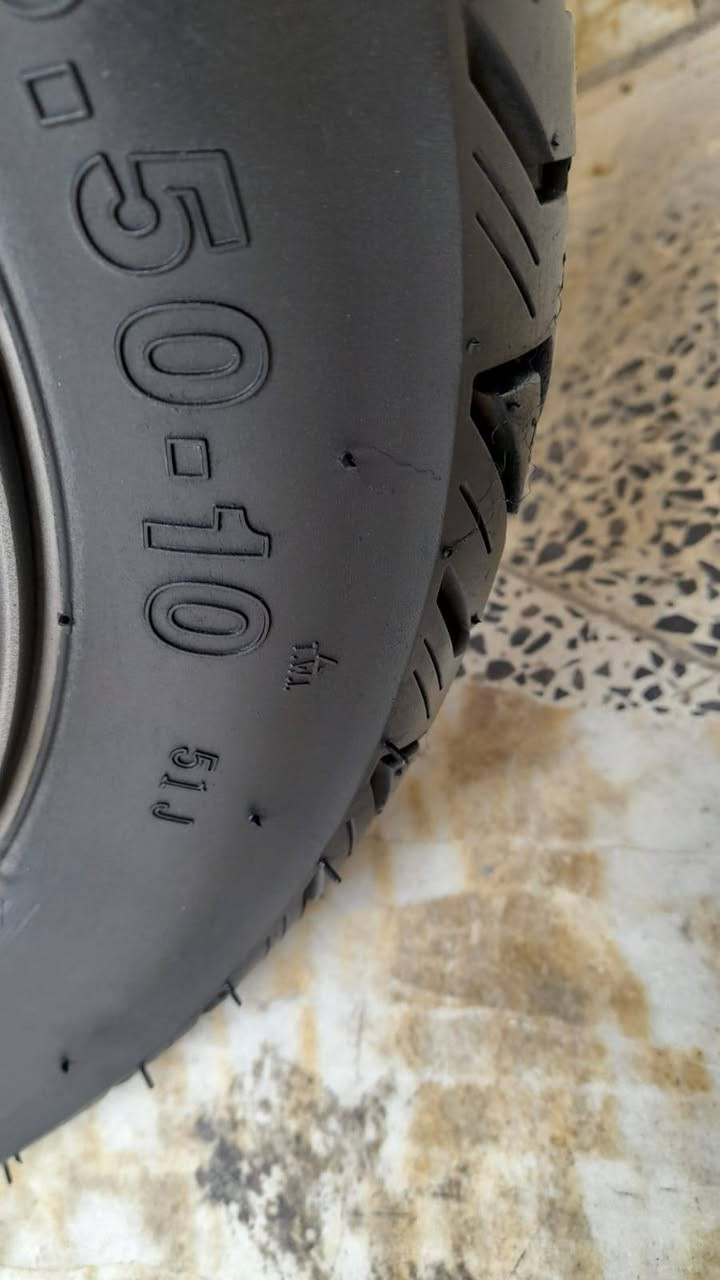 بريز بغبغاء رمبة ووراق مزاد للمراوس ب سبيسي شرط زيرو وكالة
***********
