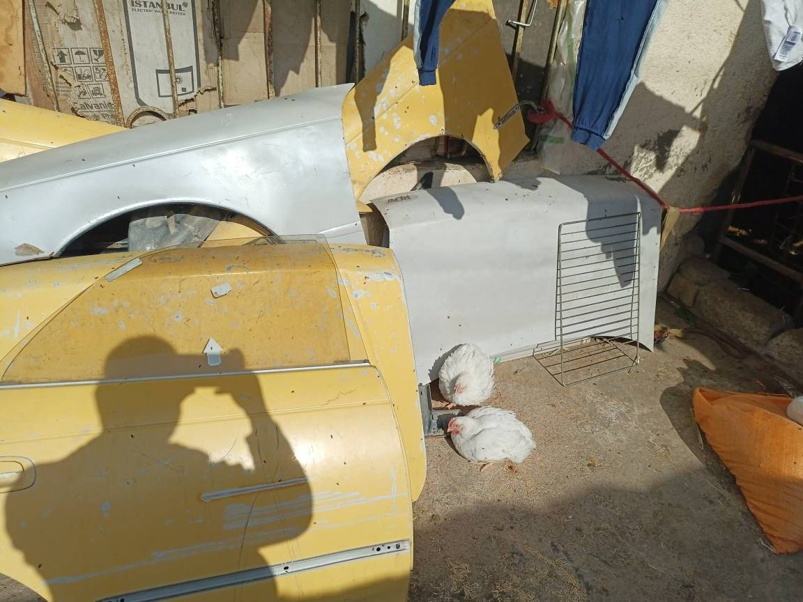 غراض كرستة و بطة للبيع بيبان وصندوك

اسعار مناسبه غراض حلوه عنوان ميسان

الاستفسار : *********** الميمونة, ميسان
