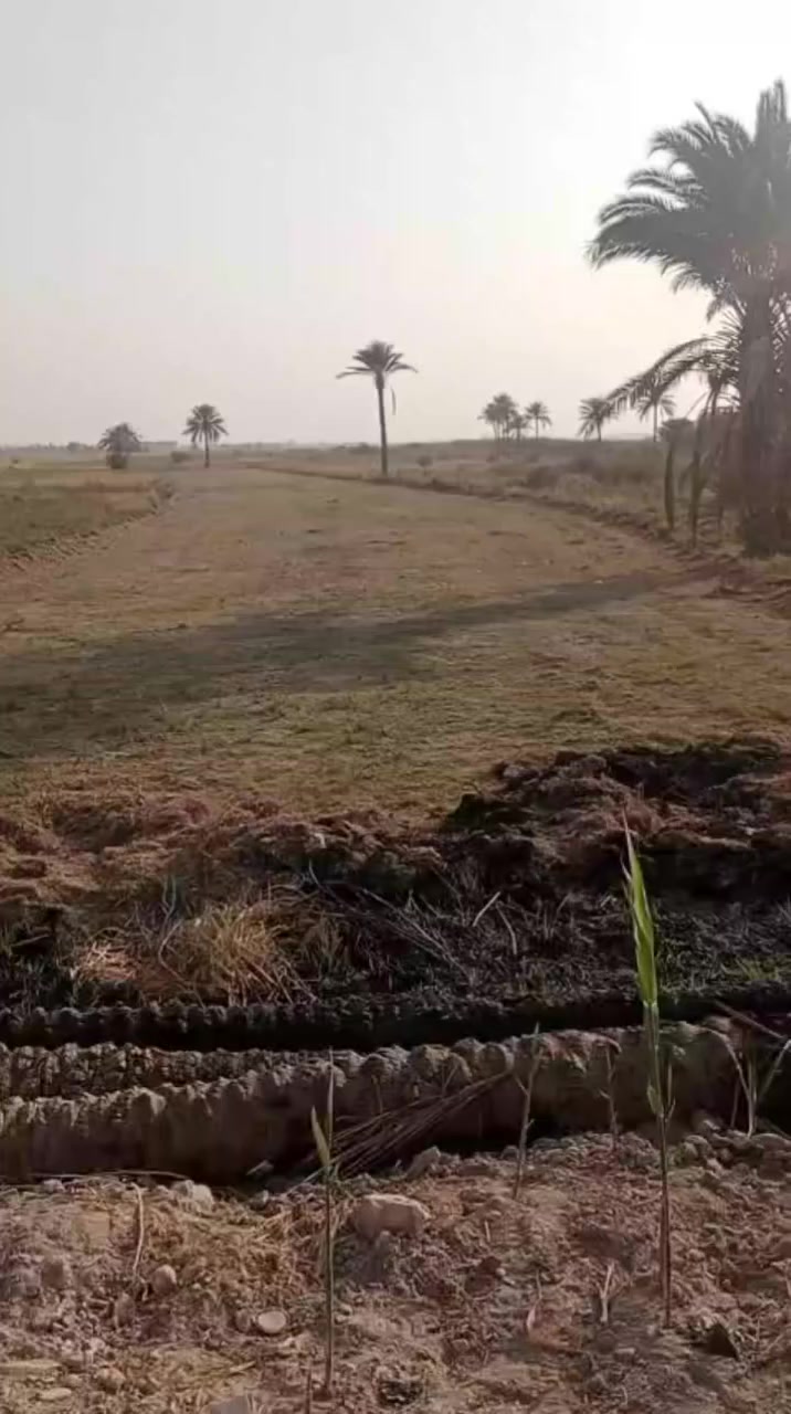 عيدكم مبارك🌹رزقنا الله وإياكم الفردوس الاعلى 🤲🕊️
#للبيع #ثلاث دوانم 
#طابوزراعي سند25تحويل مباشر المكان #الفلوجه الشهابي الاولى خلف معمل سمنت الفلوجه تبعدعن 8دقايق سعرالدونم 35
للاستفسار اكثر الاتصال على الرقم التالي 📱 ***********متوفر واتساب همات 👏 
#مكتب #الاوس #للعقار #الفلوجه #حي #جبيل 👏🕊️🌹
