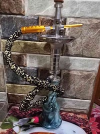 نركيلة طه • ٢٠٢٦ • مستخدمة مرتين