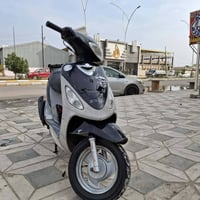 ماكس منغولي • نضيفة • سلف