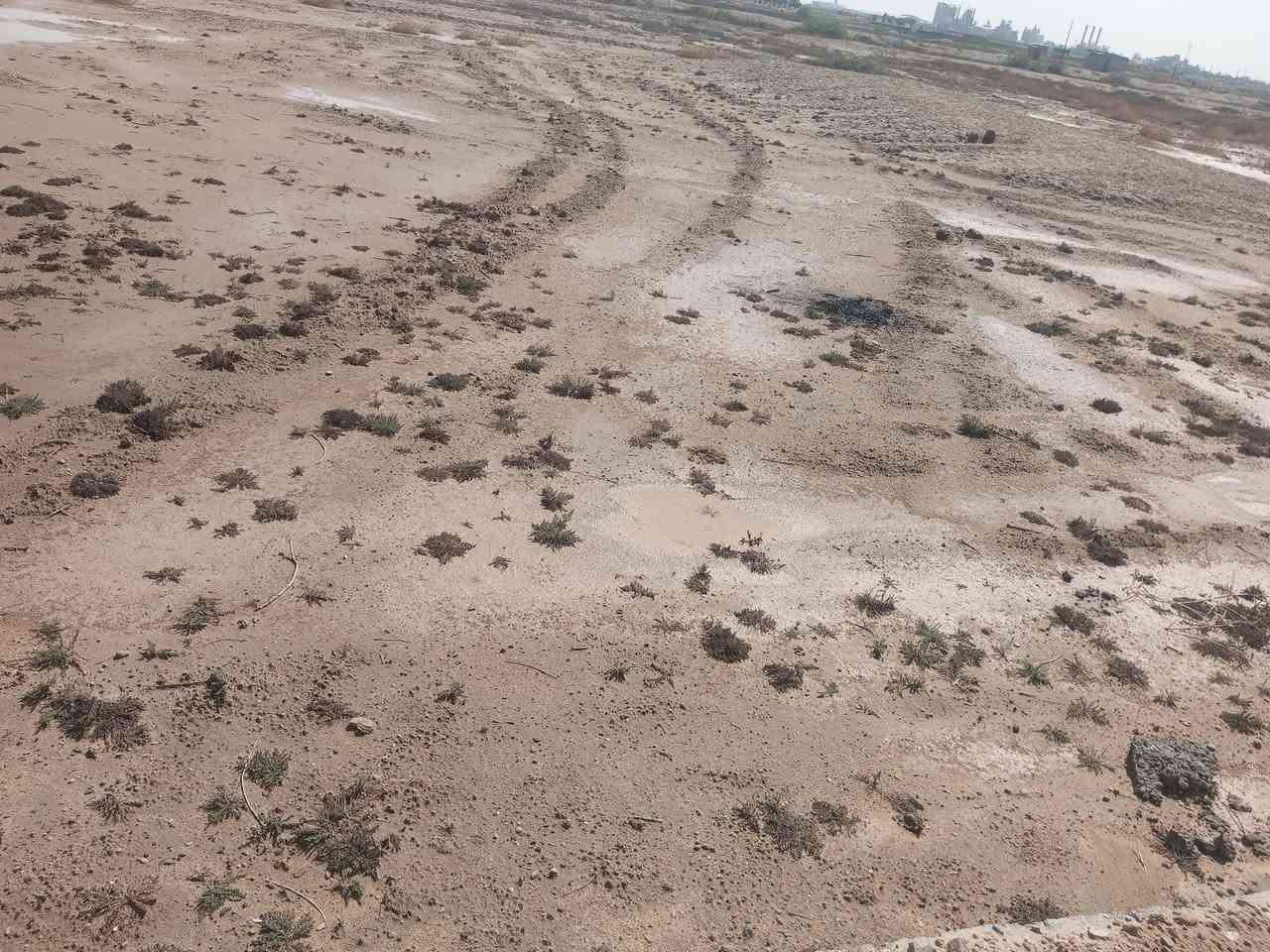 سلام عليكم توجد كاع شهابي منطقه البحديد الناصر المساحه 425السعر 5وبيه مجال تواصل ع هذا الرقم ***********
