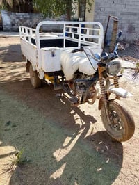 ستوته ديوان • موديل 14 • قضاء لخالص