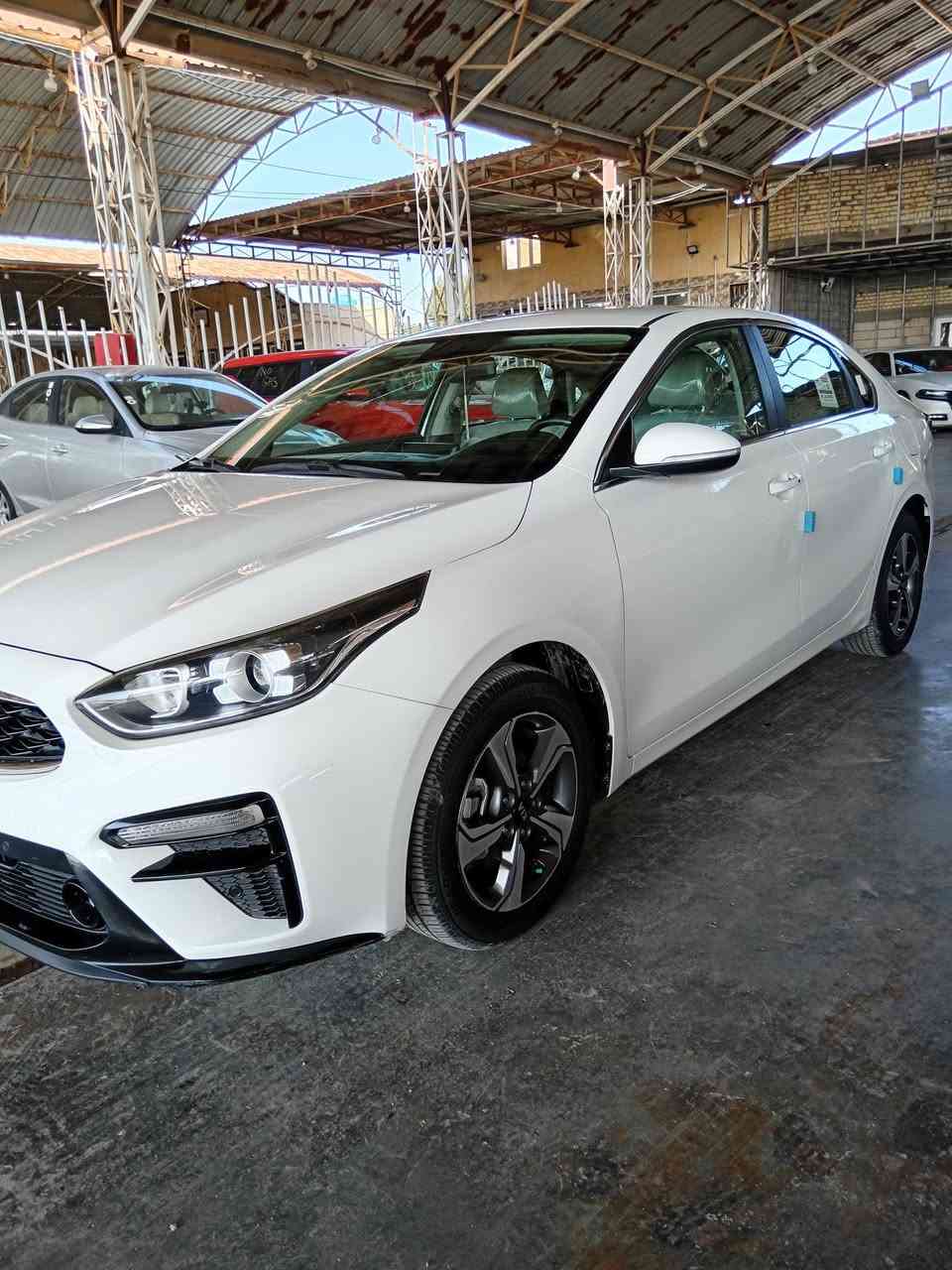 كيا سيراتو خليجي ٢٠١٩
مكفوله  السياره جديده رقم بغداد انكليزي بأسمي مداور ثاني يوم بدون قطره صبغ ولا تبديل فقط ملاحظات 
الموصفات فول عدا الفتحه
بصمه تشغيل + بصمات ابواب
تشغيل عن بعد + جنطه ذكيه 
محرك ١٦٠٠ اقتصادي بدون ادوانز
فول تحكم استيرن    
حساس امامي دكمه    + حساس خلفي
كشنات مغلفه     + الارضيه جلد+ الجنطه جلد
مري شفط      + اشاير مري + نظام ترحيب
شاشه عطلات       ماشيه 100 الف حقيقي قابله للزياده 
بصمات عدد ٢.        تبريد قطعتين
٣ انظمة عاي وسبورت واقتصادي
خمسه ويل كب.   سبير جديد ما مستعمل
لد امامي.     + لد خلفي
***********
