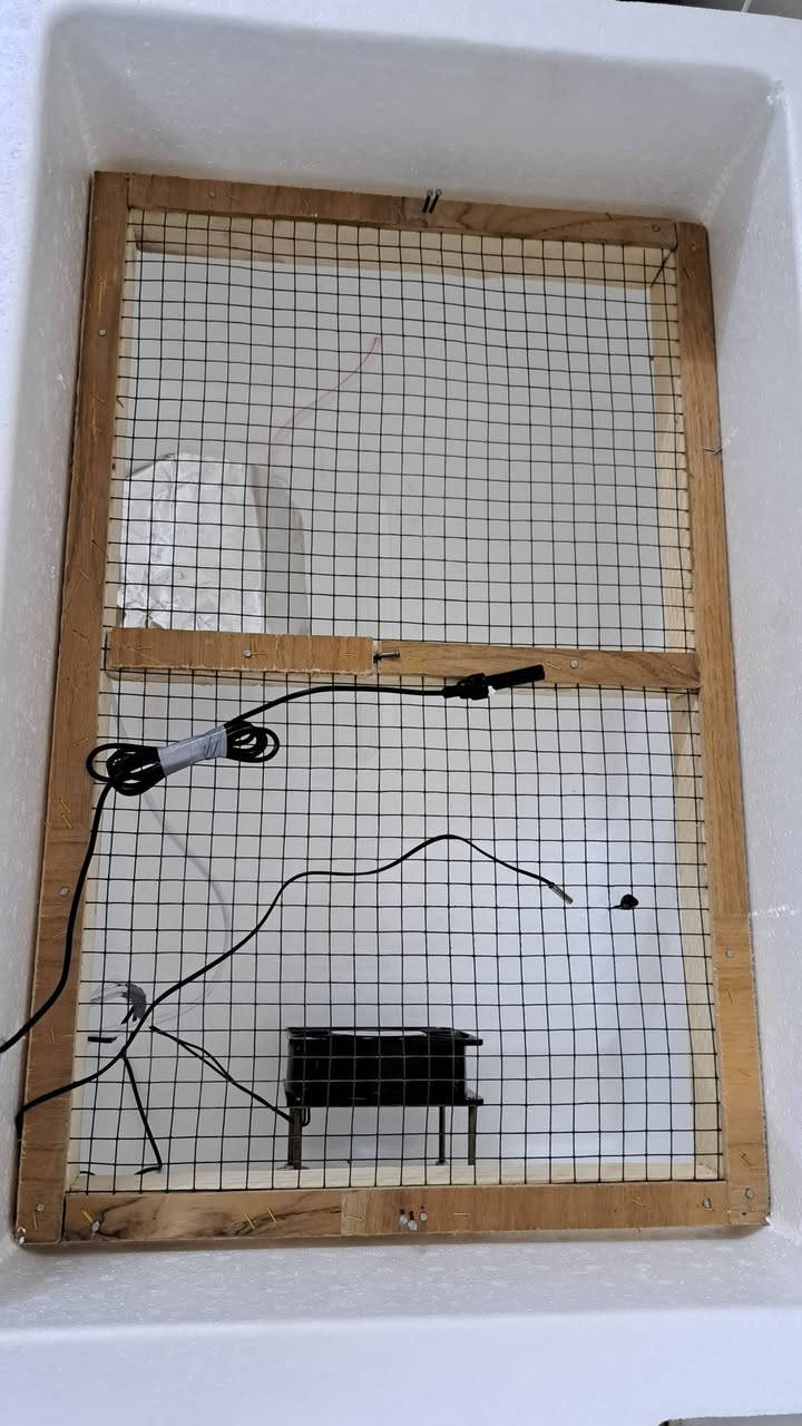 فقاسه بيض 
ضمان تفقيس تقليب يدوي 
سعه الفقاسه 100 بيضه 
سعر 80 الف 
شغل جديد غير مستخدم


**إذا كنت صاحب هذا الإعلان وتريد حذفه لأي سبب، رجاءا أرسل رسالة إلى الدعم الفني**