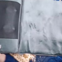 إلكترونيات • فيديو • توصيل